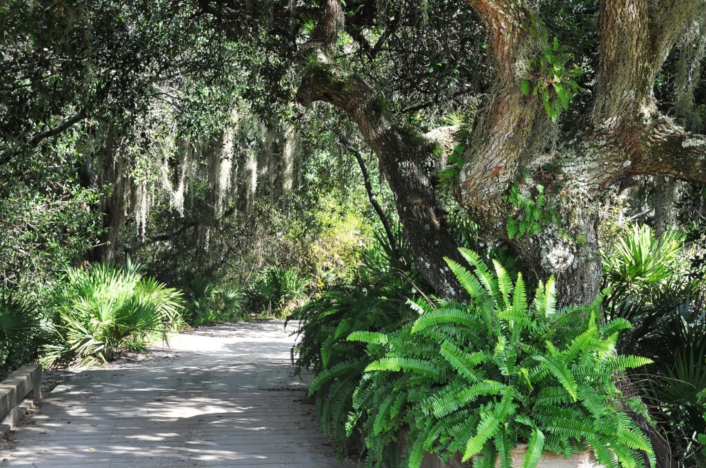 Heron Creek Homes for Sale | North Port Florida 12 Heron Creek North Port Florida Homes for Sale 16