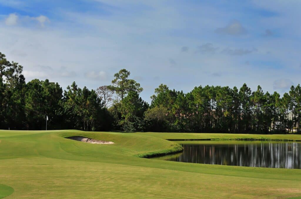 Heron Creek Homes for Sale | North Port Florida 18 Heron Creek North Port Florida Homes for Sale 17