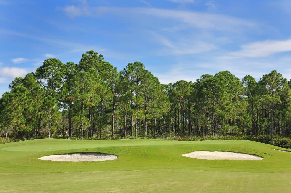 Heron Creek Homes for Sale | North Port Florida 19 Heron Creek North Port Florida Homes for Sale 18 1