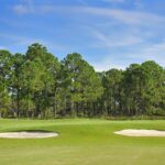 Heron Creek North Port Florida Homes for Sale 18 1