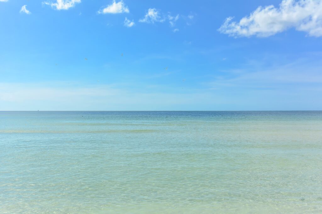 Hyatt Siesta Key Beach Condos for Sale | Siesta Key Florida 9 Hyatt Siesta Key Florida Condos for Sale 10