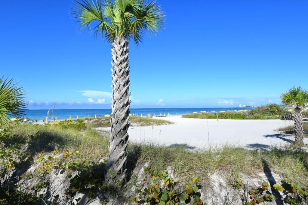 Hyatt Siesta Key Beach Condos for Sale | Siesta Key Florida 6 Hyatt Siesta Key Florida Condos for Sale 2