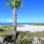Hyatt Siesta Key Florida Condos for Sale 2