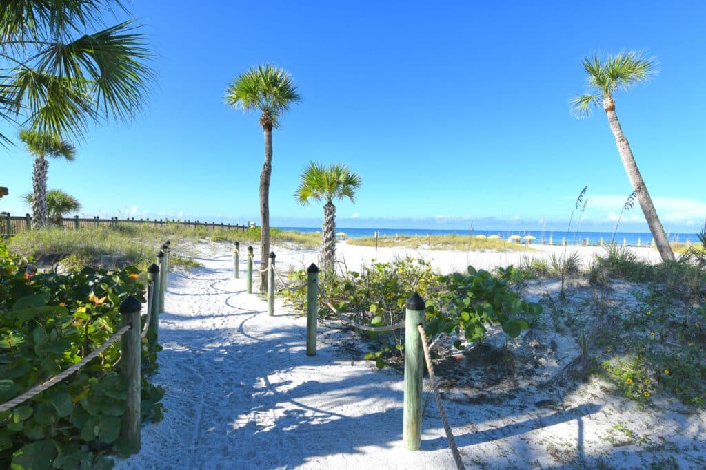Hyatt Siesta Key Beach Condos for Sale | Siesta Key Florida 5 Hyatt Siesta Key Florida Condos for Sale 3
