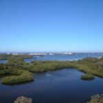The Oaks Preseve Osprey Florida Homes for Sale 2