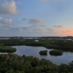 The Oaks Preseve Osprey Florida Homes for Sale 27