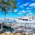 Downtown Bradenton Florida 2