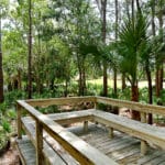 Woodland Grove Sarasota Florida Homes for Sale 4