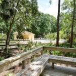 Woodland Grove Sarasota Florida Homes for Sale 5